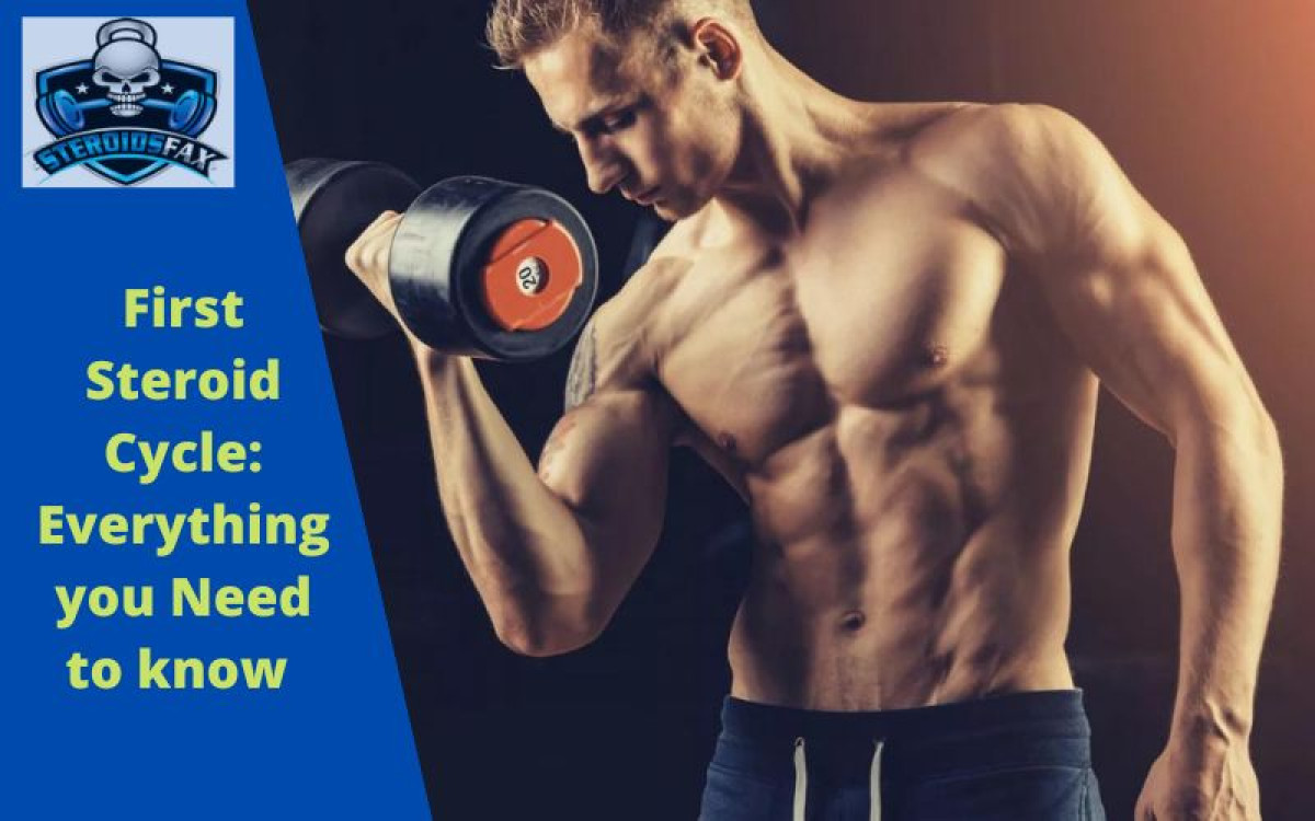 First Steroid Cycle Everything You Need To Know